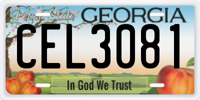 GA license plate CEL3081