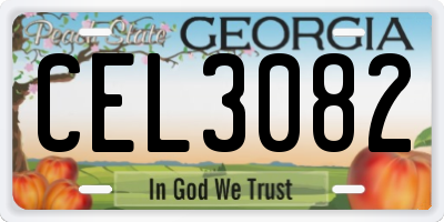 GA license plate CEL3082