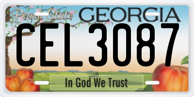 GA license plate CEL3087
