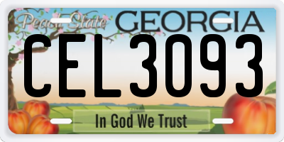 GA license plate CEL3093