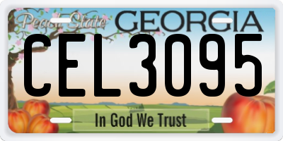 GA license plate CEL3095