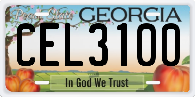 GA license plate CEL3100