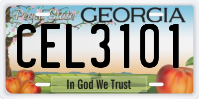 GA license plate CEL3101
