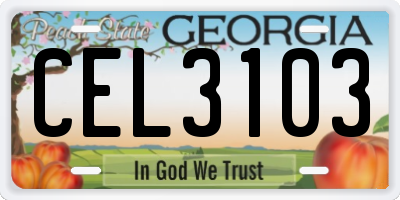GA license plate CEL3103