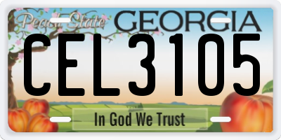 GA license plate CEL3105