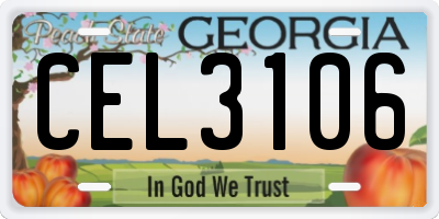 GA license plate CEL3106