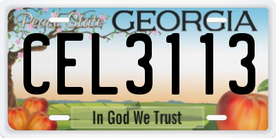 GA license plate CEL3113