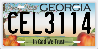 GA license plate CEL3114