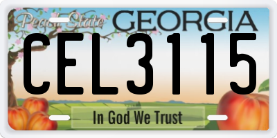 GA license plate CEL3115