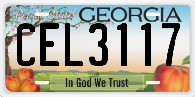 GA license plate CEL3117