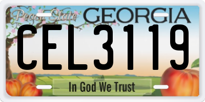 GA license plate CEL3119