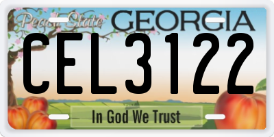 GA license plate CEL3122