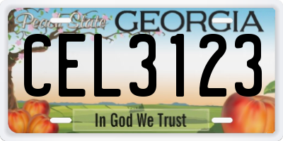 GA license plate CEL3123