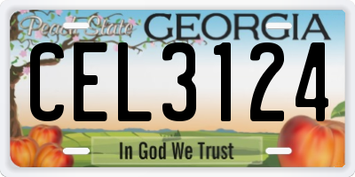 GA license plate CEL3124