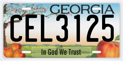 GA license plate CEL3125