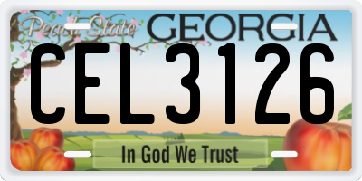 GA license plate CEL3126