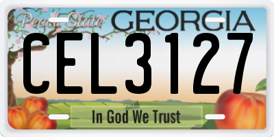 GA license plate CEL3127