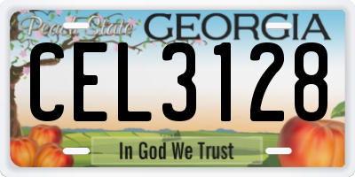 GA license plate CEL3128