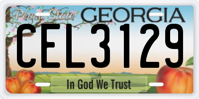 GA license plate CEL3129
