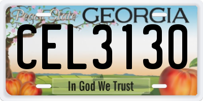 GA license plate CEL3130