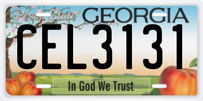 GA license plate CEL3131
