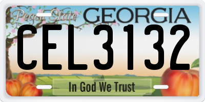 GA license plate CEL3132
