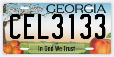 GA license plate CEL3133
