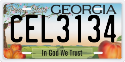 GA license plate CEL3134