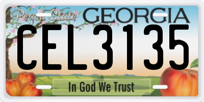 GA license plate CEL3135