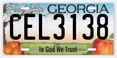 GA license plate CEL3138