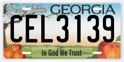 GA license plate CEL3139