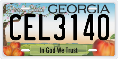 GA license plate CEL3140