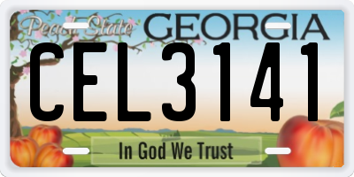 GA license plate CEL3141