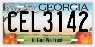 GA license plate CEL3142
