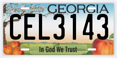GA license plate CEL3143