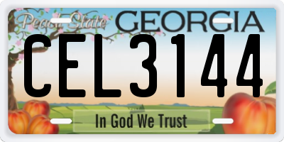 GA license plate CEL3144