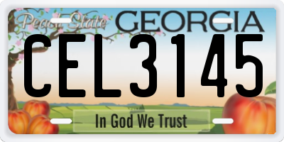 GA license plate CEL3145