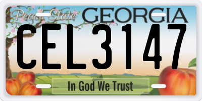 GA license plate CEL3147