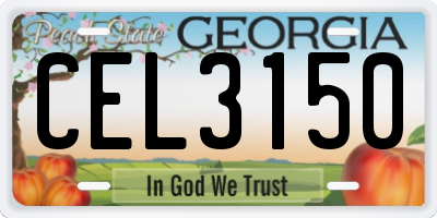 GA license plate CEL3150