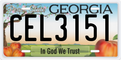 GA license plate CEL3151
