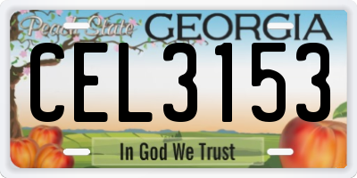 GA license plate CEL3153