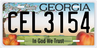 GA license plate CEL3154