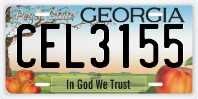 GA license plate CEL3155