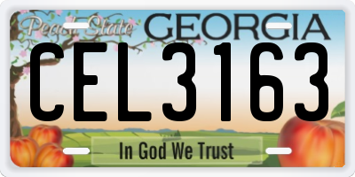 GA license plate CEL3163