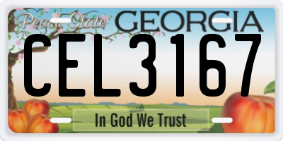 GA license plate CEL3167