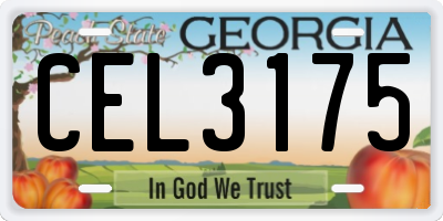 GA license plate CEL3175