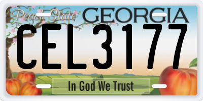 GA license plate CEL3177