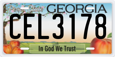 GA license plate CEL3178