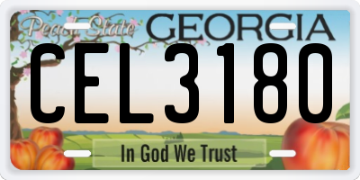 GA license plate CEL3180