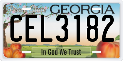 GA license plate CEL3182